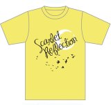 画像: REFLECTION　Tシャツ